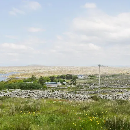 Lakeview Lettermore